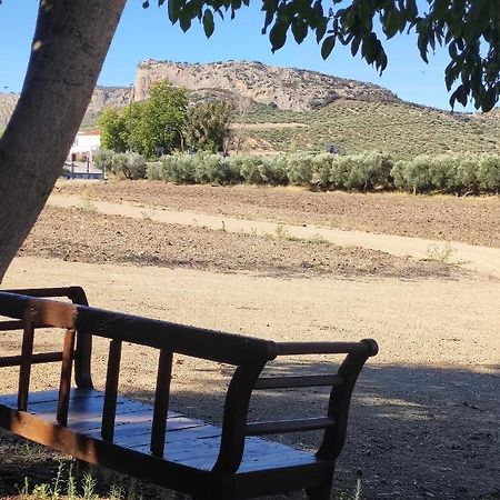 Alojamiento Rural Huerta Mandre Cuevas del Becerro Eksteriør bilde