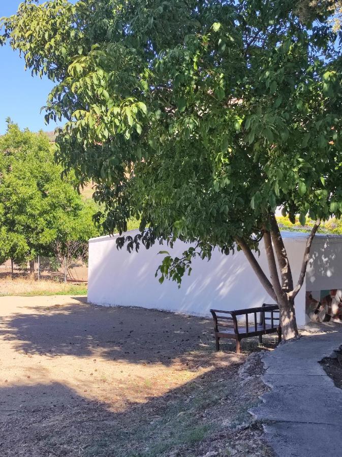Alojamiento Rural Huerta Mandre Cuevas del Becerro Eksteriør bilde